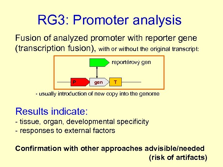 RG 3: Promoter analysis Fusion of analyzed promoter with reporter gene (transcription fusion), with