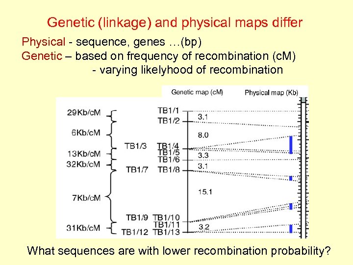 Genetic (linkage) and physical maps differ Physical - sequence, genes …(bp) Genetic – based