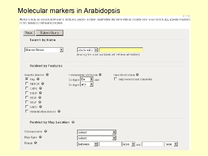 Molecular markers in Arabidopsis 