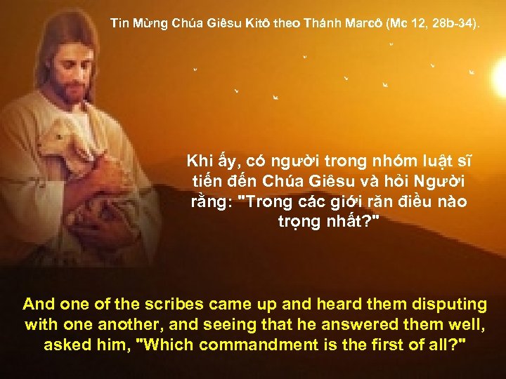 Tin Mừng Chúa Giêsu Kitô theo Thánh Marcô (Mc 12, 28 b-34). Khi ấy,