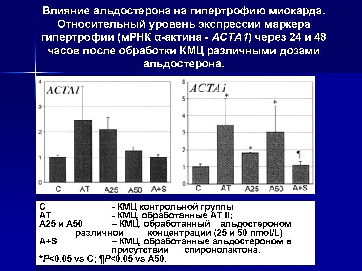 Влияние альдостерона на гипертрофию миокарда. Относительный уровень экспрессии маркера гипертрофии (м. РНК α-актина -