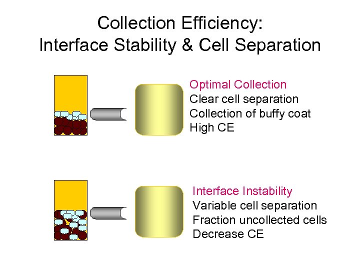 Collection Efficiency: Interface Stability & Cell Separation Optimal Collection Clear cell separation Collection of