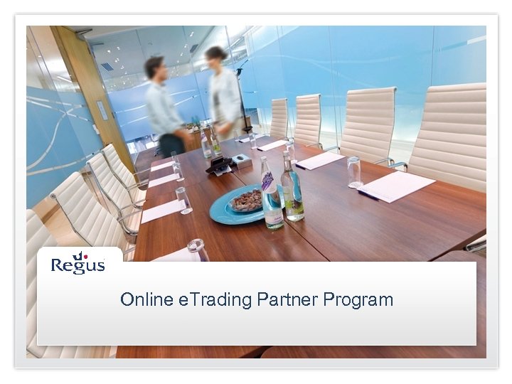 Online e. Trading Partner Program 