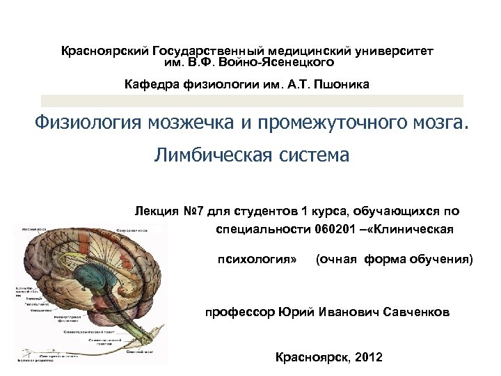Красноярский Государственный медицинский университет им. В. Ф. Войно-Ясенецкого Кафедра физиологии им. А. Т. Пшоника