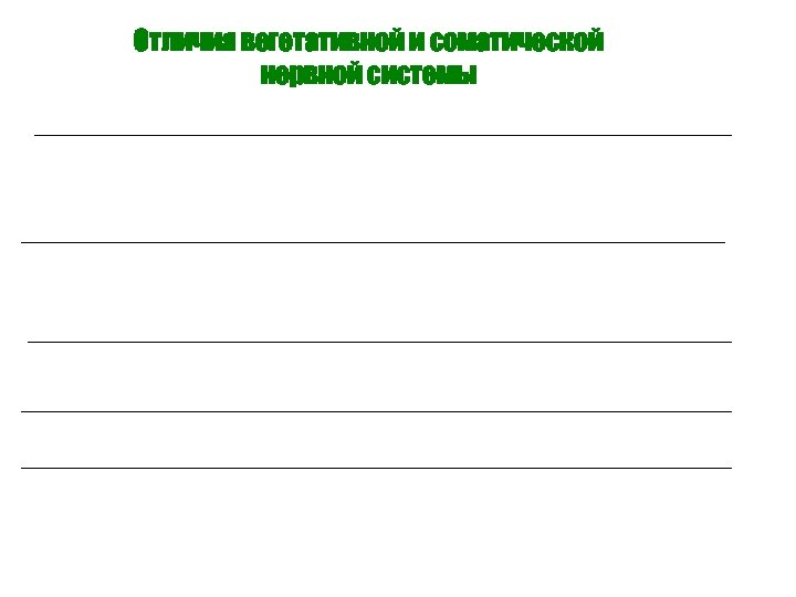 Отличия вегетативной и соматической нервной системы 
