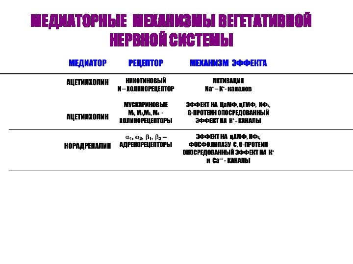 МЕДИАТОРНЫЕ МЕХАНИЗМЫ ВЕГЕТАТИВНОЙ НЕРВНОЙ СИСТЕМЫ 