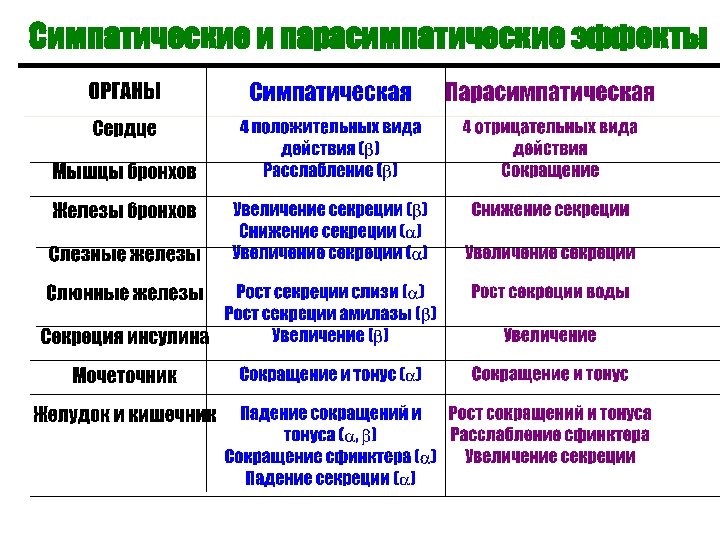 Симпатические и парасимпатические эффекты 