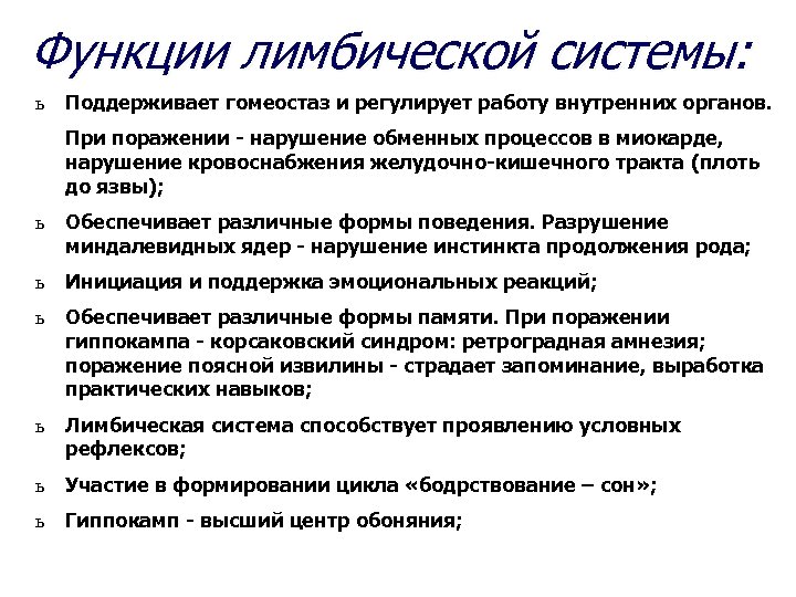 Функции лимбической системы: ь Поддерживает гомеостаз и регулирует работу внутренних органов. При поражении -