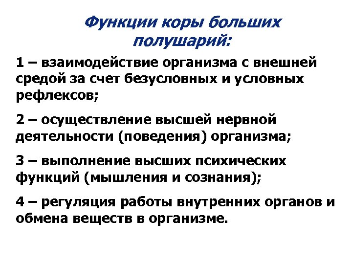 Функции коры. Корковые функции. Фунуиции поведения организма. Высшие и низшие корковые функции.