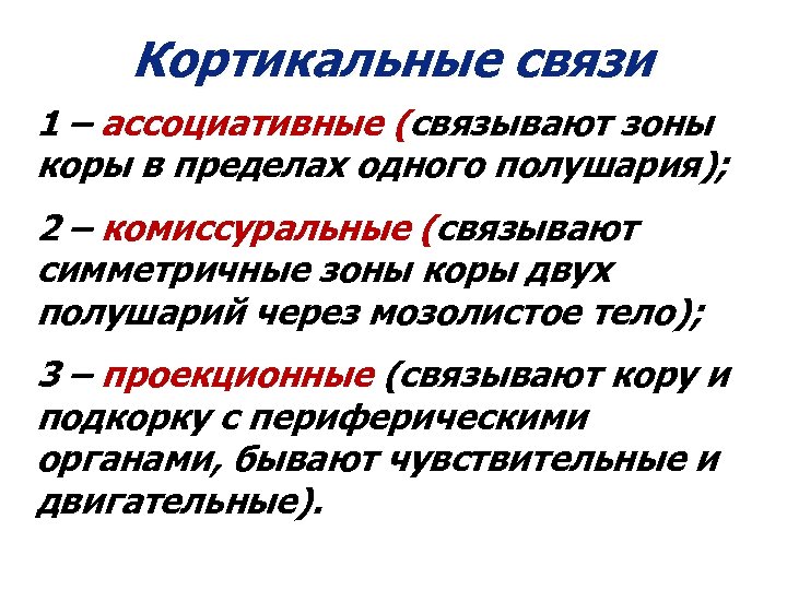 Кортикальные связи 1 – ассоциативные (связывают зоны коры в пределах одного полушария); 2 –