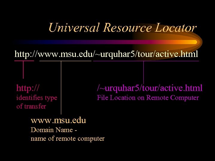 Universal Resource Locator http: //www. msu. edu/~urquhar 5/tour/active. html http: // /~urquhar 5/tour/active. html