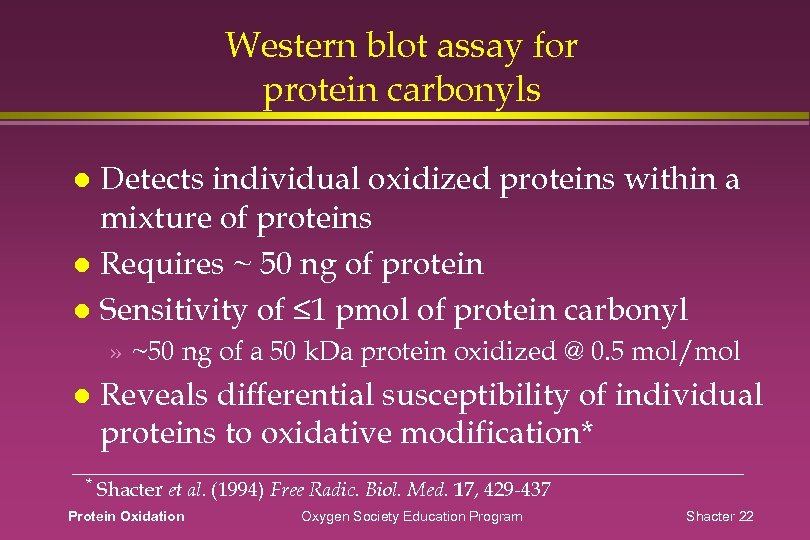 Western blot assay for protein carbonyls Detects individual oxidized proteins within a mixture of