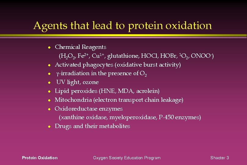 Agents that lead to protein oxidation Chemical Reagents (H 2 O 2, Fe 2+,