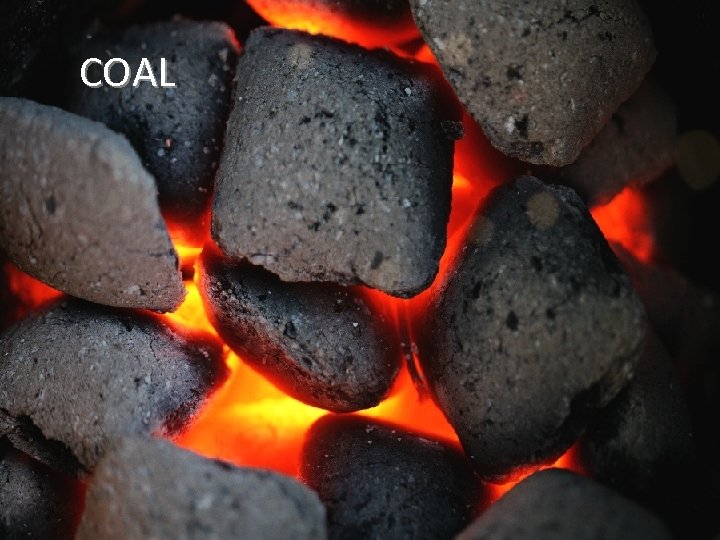 COAL 