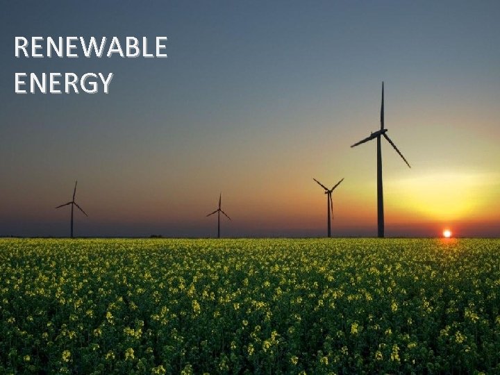 RENEWABLE ENERGY 