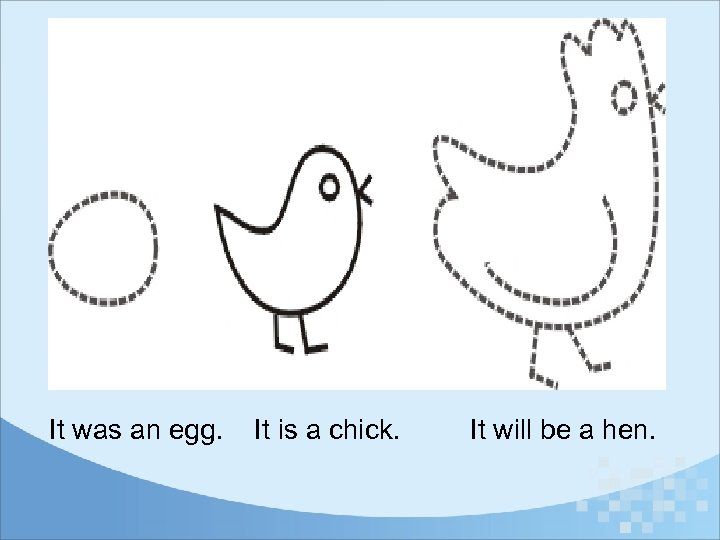 It was an egg. It is a chick. It will be a hen. 