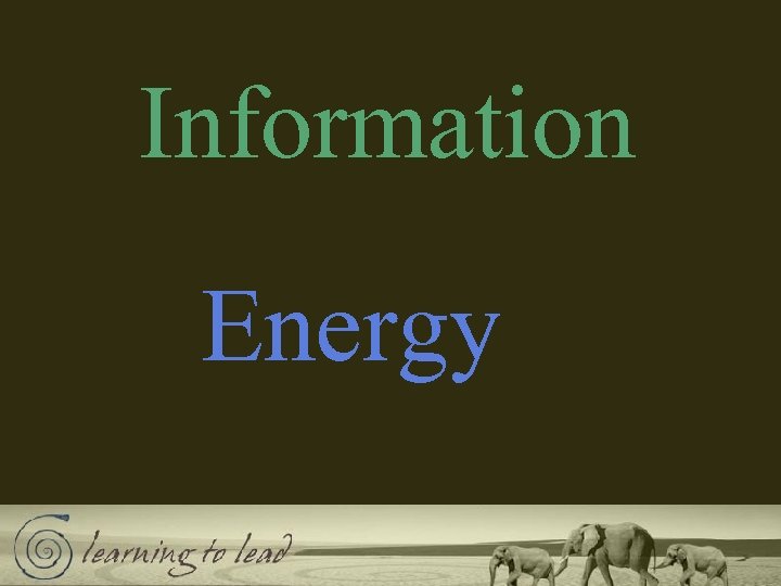 Information Energy 