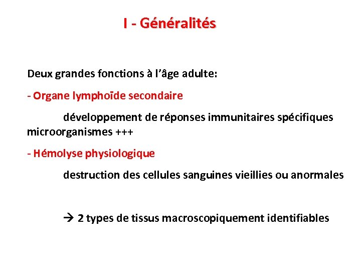I - Généralités Deux grandes fonctions à l’âge adulte: - Organe lymphoïde secondaire développement