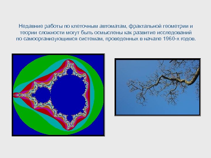 Недавние работы по клеточным автоматам, фрактальной геометрии и теории сложности могут быть осмыслены как