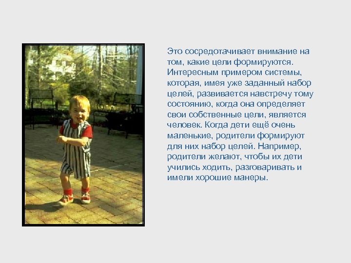 Это сосредотачивает внимание на том, какие цели формируются. Интересным примером системы, которая, имея уже