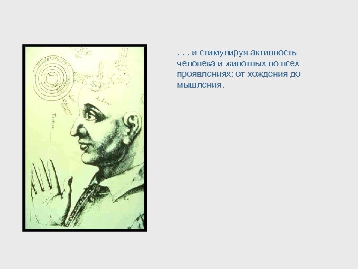 . . . и стимулируя активность человека и животных во всех проявлениях: от хождения