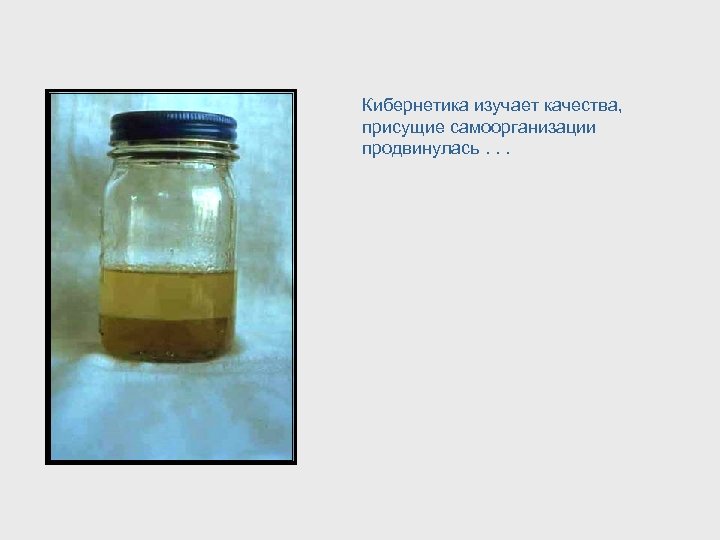 Кибернетика изучает качества, присущие самоорганизации продвинулась. . . 