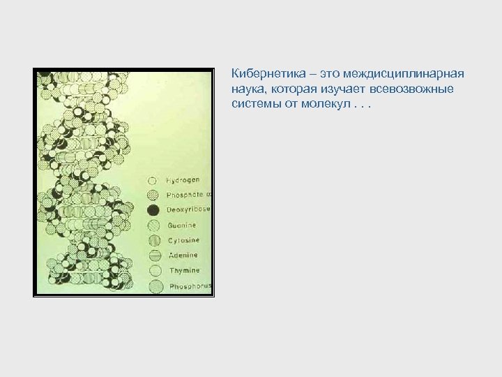 Кибернетика – это междисциплинарная наука, которая изучает всевозвожные системы от молекул. . . 