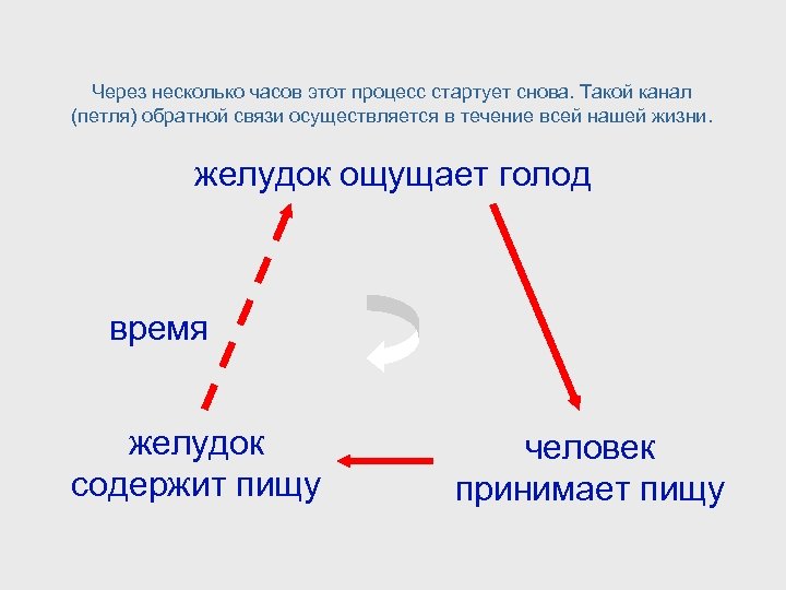 Через несколько часов этот процесс стартует снова. Такой канал (петля) обратной связи осуществляется в