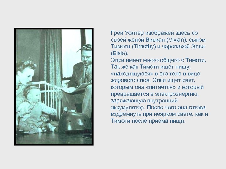 Грей Уолтер изображен здесь со своей женой Вивиан (Vivian), сыном Тимоти (Timothy) и черепахой
