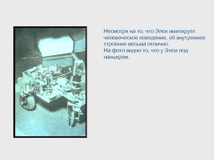 Несмотря на то, что Элси имитирует человеческое поведение, её внутреннее строение весьма отлично. На