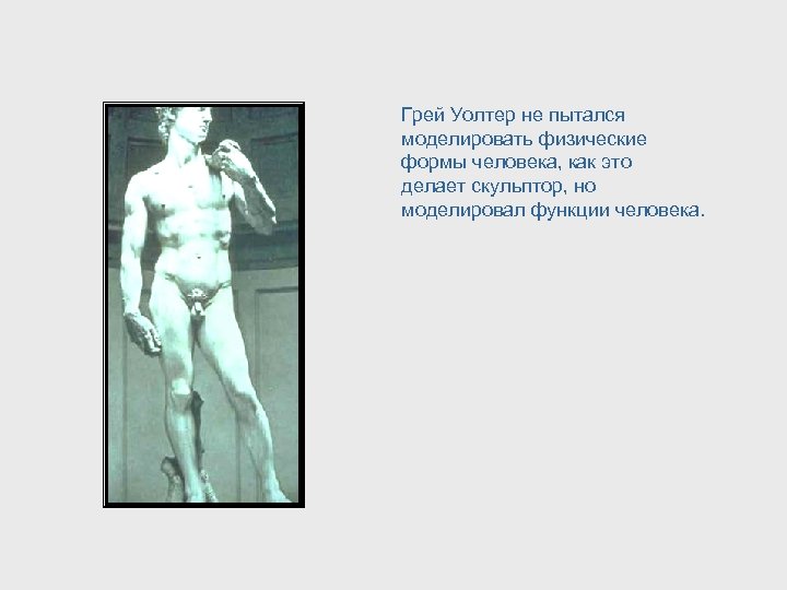 Грей Уолтер не пытался моделировать физические формы человека, как это делает скульптор, но моделировал