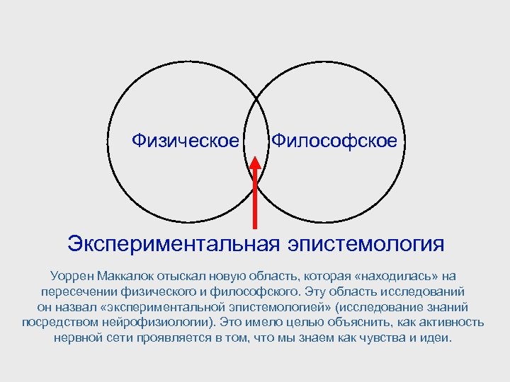 Физическое Философское Экспериментальная эпистемология Уоррен Маккалок отыскал новую область, которая «находилась» на пересечении физического
