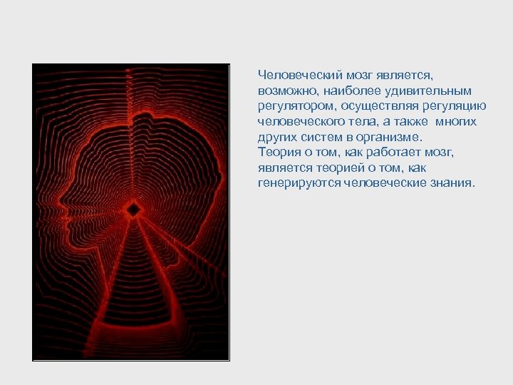 Человеческий мозг является, возможно, наиболее удивительным регулятором, осуществляя регуляцию человеческого тела, а также многих