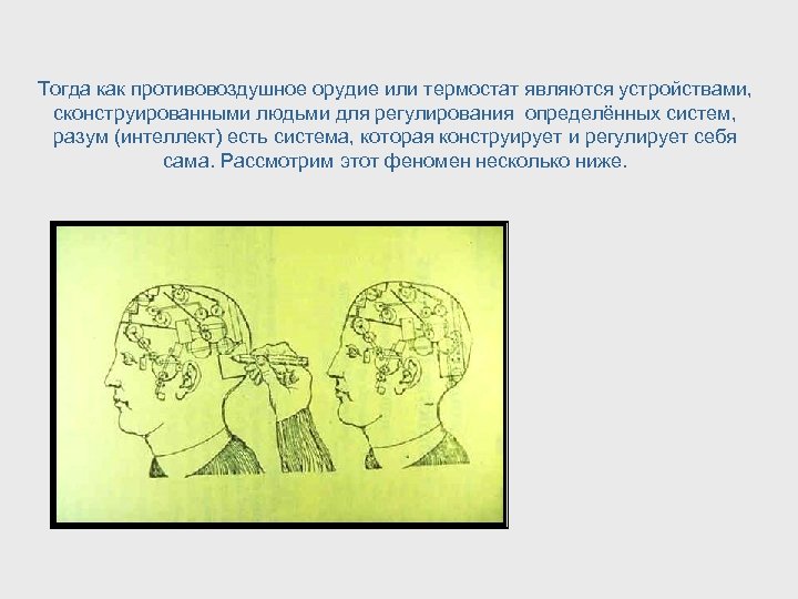 Тогда как противовоздушное орудие или термостат являются устройствами, сконструированными людьми для регулирования определённых систем,