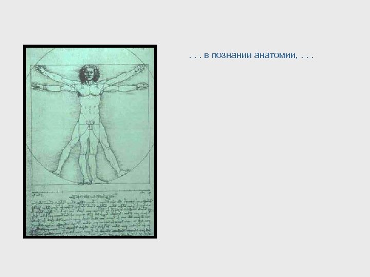 . . . в познании анатомии, . . . 
