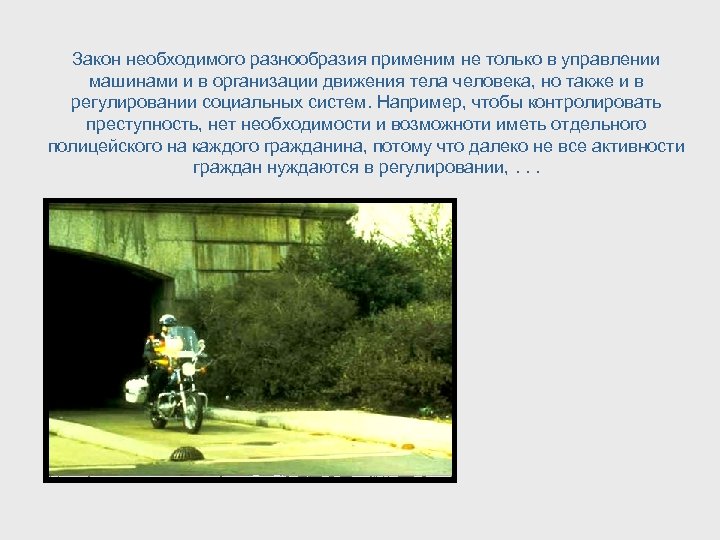 Закон необходимого разнообразия применим не только в управлении машинами и в организации движения тела