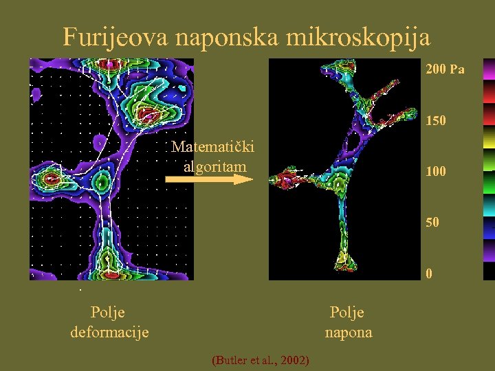 Furijeova naponska mikroskopija 200 Pa 150 Matematički algoritam 100 50 0 Displacement field Polje