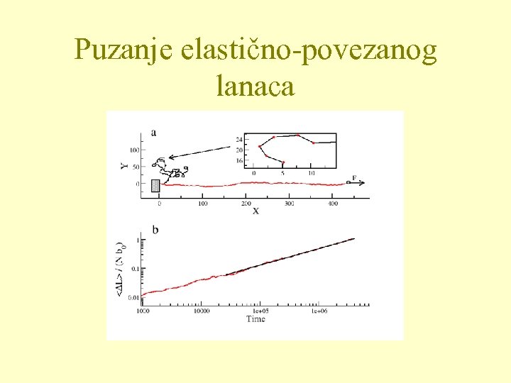 Puzanje elastično-povezanog lanaca 
