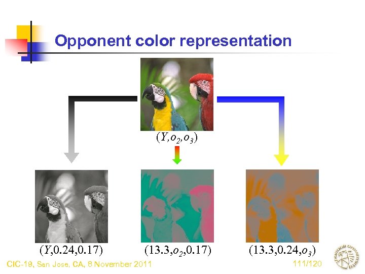 Opponent color representation (Y, o 2, o 3) (Y, 0. 24, 0. 17) (13.