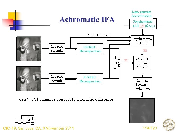 Lum. contrast Chromatic diff. discrimination Psychometric LUT (f, Y, c ) LUT (f, o