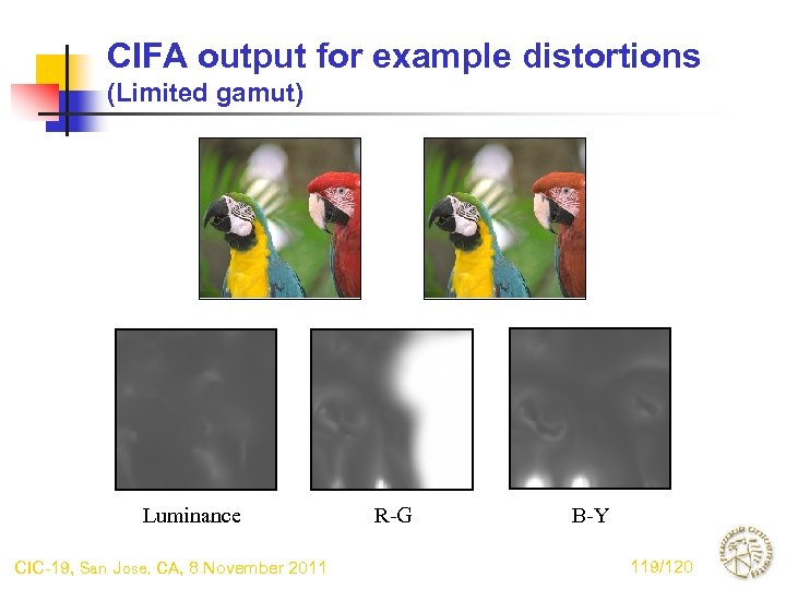 CIFA output for example distortions (Limited gamut) Luminance CIC-19, San Jose, CA, 8 November