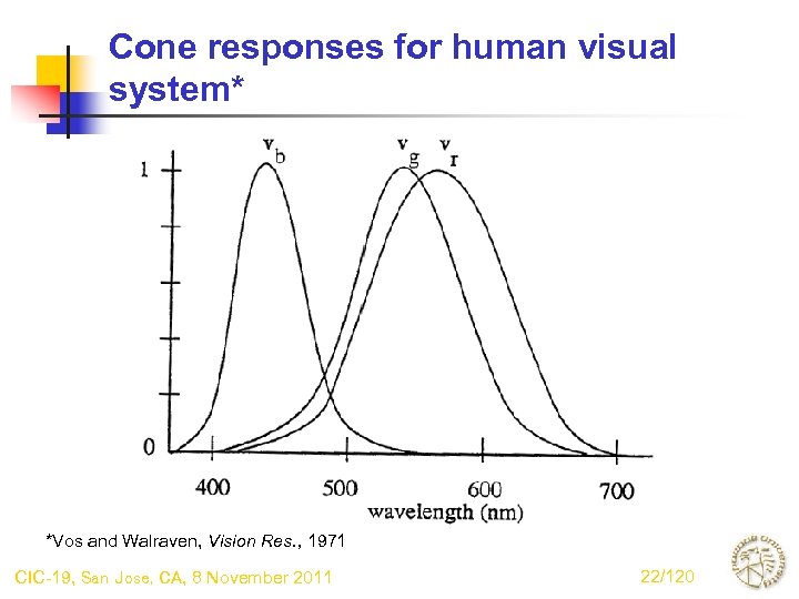 Cone responses for human visual system* *Vos and Walraven, Vision Res. , 1971 CIC-19,