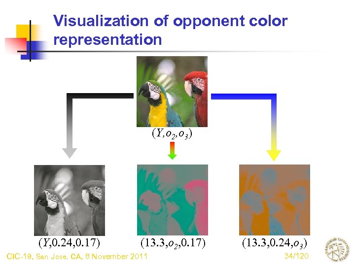 Visualization of opponent color representation (Y, o 2, o 3) (Y, 0. 24, 0.