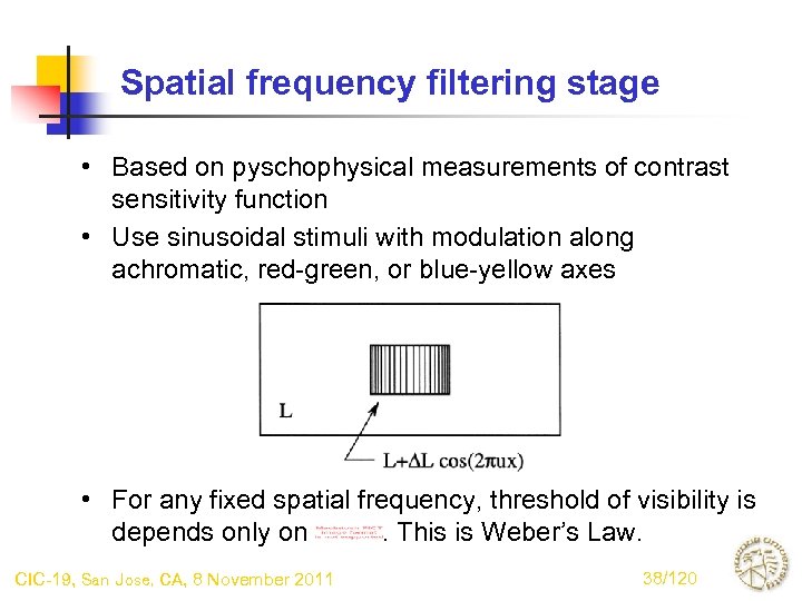 Spatial frequency filtering stage • Based on pyschophysical measurements of contrast sensitivity function •