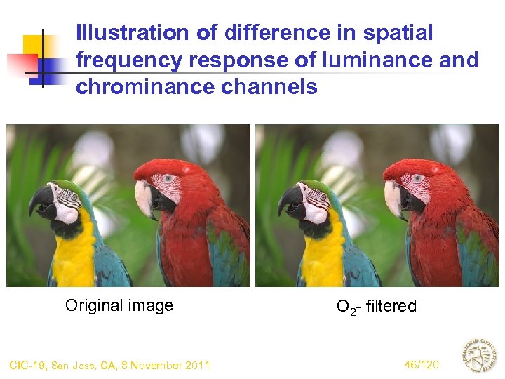 Illustration of difference in spatial frequency response of luminance and chrominance channels Original image