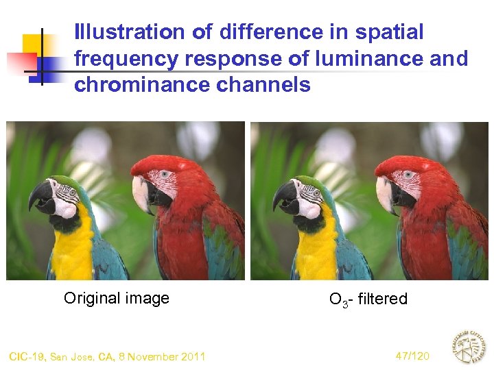 Illustration of difference in spatial frequency response of luminance and chrominance channels Original image