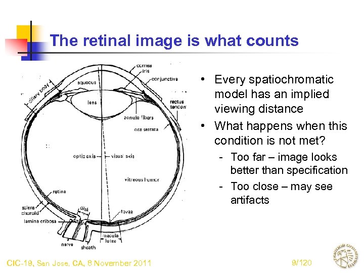 The retinal image is what counts • Every spatiochromatic model has an implied viewing