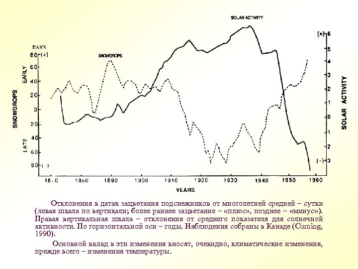  Отклонения в датах зацветания подснежников от многолетней средней – сутки (левая шкала по