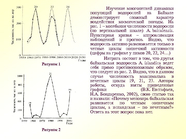  Изучение многолетней динамики Рисунок 1 Рисунок 2 популяций водорослей на Байкале демонстрирует сложный
