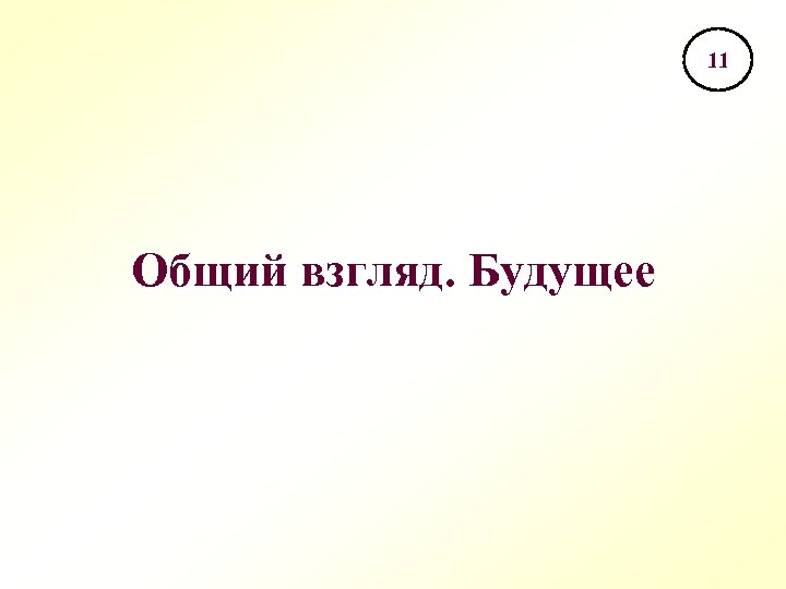 11 Общий взгляд. Будущее 